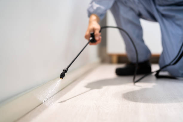 Certified termite inspector examining foundation in Beavercreek